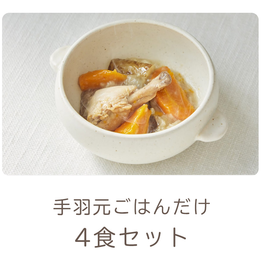 手羽元ごはんだけ